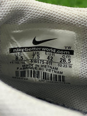 Nike SB Trainerendor