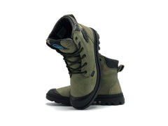 Palladium Pampa