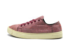 Toms