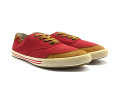 Aigle