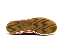 Aigle