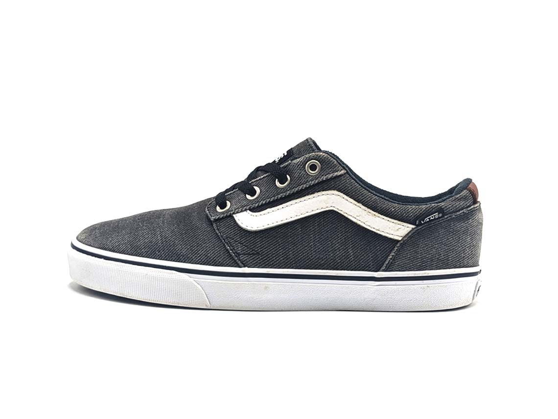 Vans Chapman Stripe Y