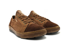 Aigle