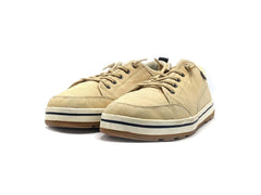 Aigle