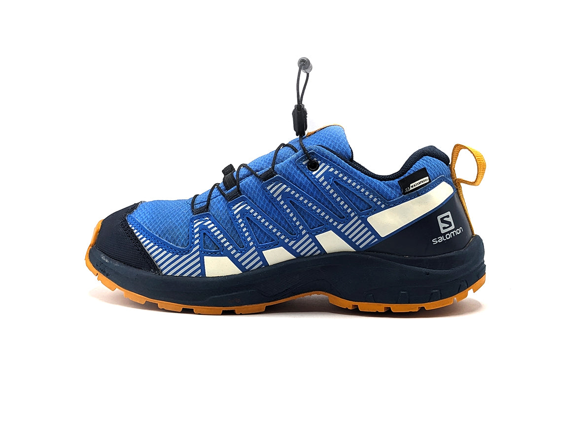 Salomon XA Pro V8