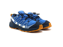 Salomon XA Pro V8