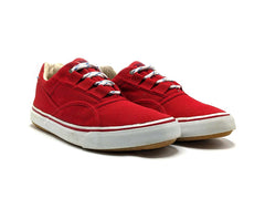 Aigle