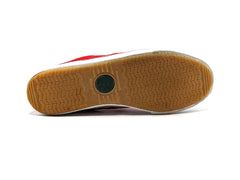 Aigle