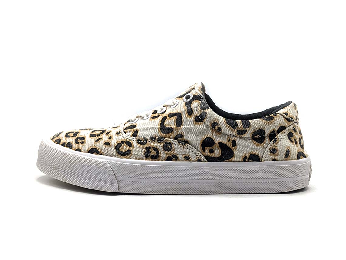 Superdry Classic Lace Up 10