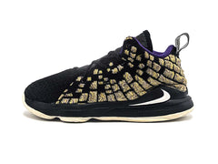 Nike Lebron 213