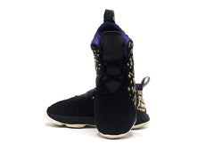 Nike Lebron 213