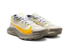 Nike Pegasus Trail 2
