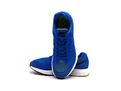 Nike Zoom Pegasus 31