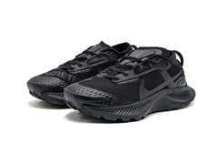 Nike Pegasus Trail 3 GTX