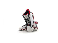 Jordan Pro Strong