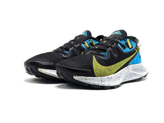 Nike Pegasus Trail 2