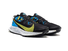 Nike Pegasus Trail 2