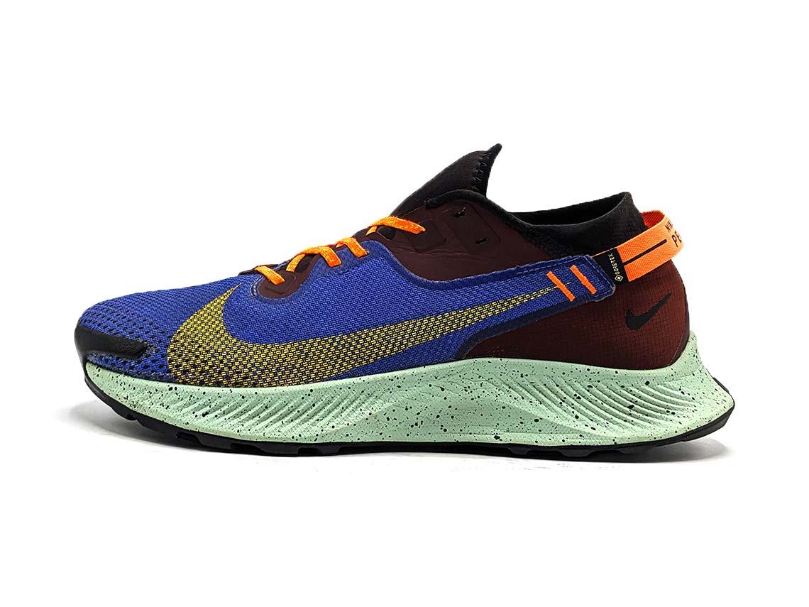 Nike Pegasus Trail 2 GTX