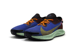 Nike Pegasus Trail 2 GTX