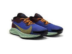 Nike Pegasus Trail 2 GTX