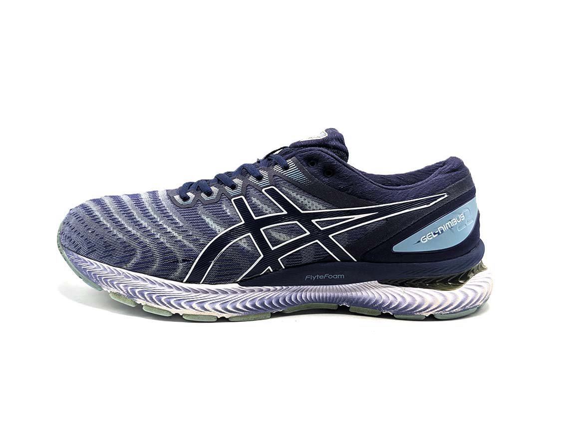 Asics Gel-Nimbus 22