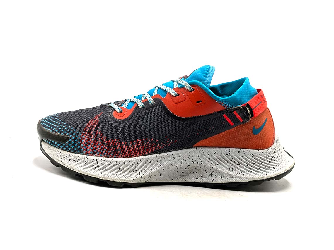 Nike Pegasus Trail 2 GTX