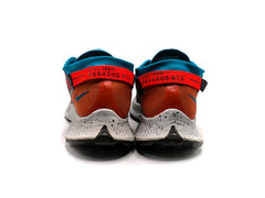 Nike Pegasus Trail 2 GTX