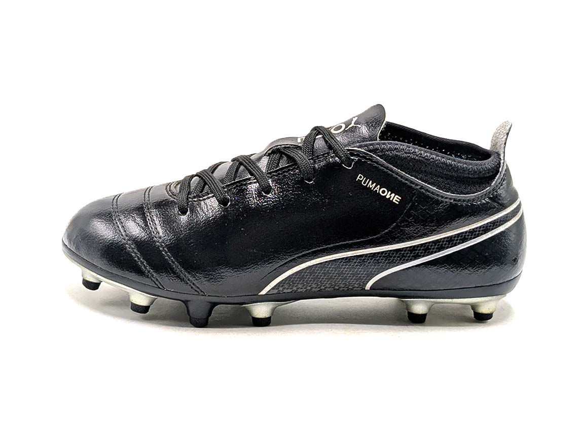 Puma One 17.3 FXG