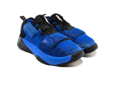 Jordan Zion 2
