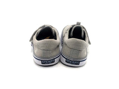 Sperry Spinnaker