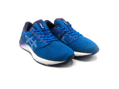 Asics Roadhawk FF 2