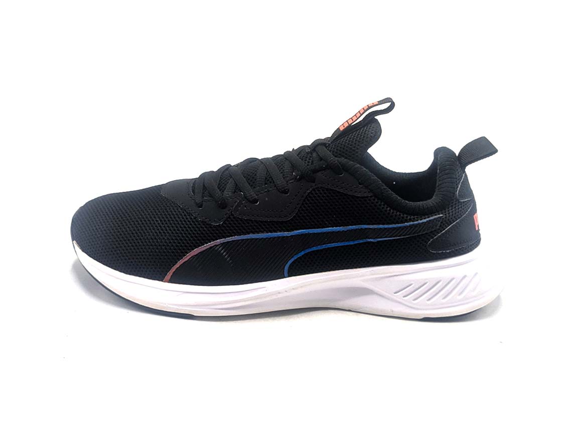 Puma Incinerate