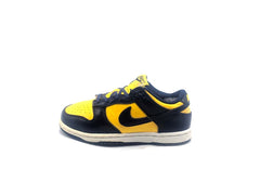 Nike Dunk