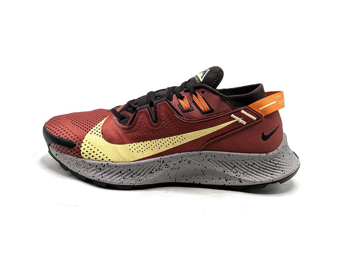 Nike Pegasus Trail 2