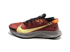 Nike Pegasus Trail 2