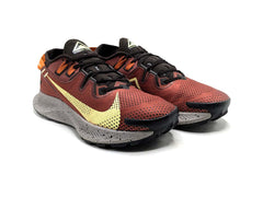 Nike Pegasus Trail 2