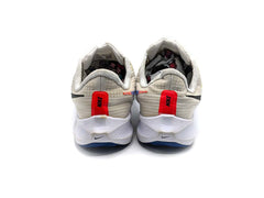 Nike Air Zoom Pegasus 39