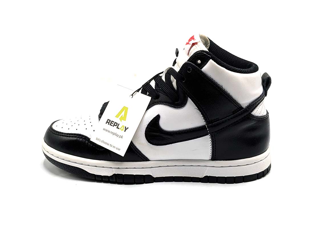 Nike Dunk Hi