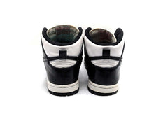 Nike Dunk Hi