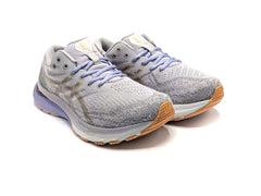 Asics Gel Kayano 29