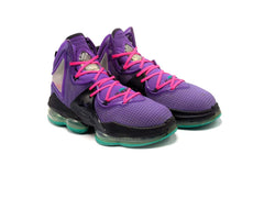 Nike Lebron 19 - indoor