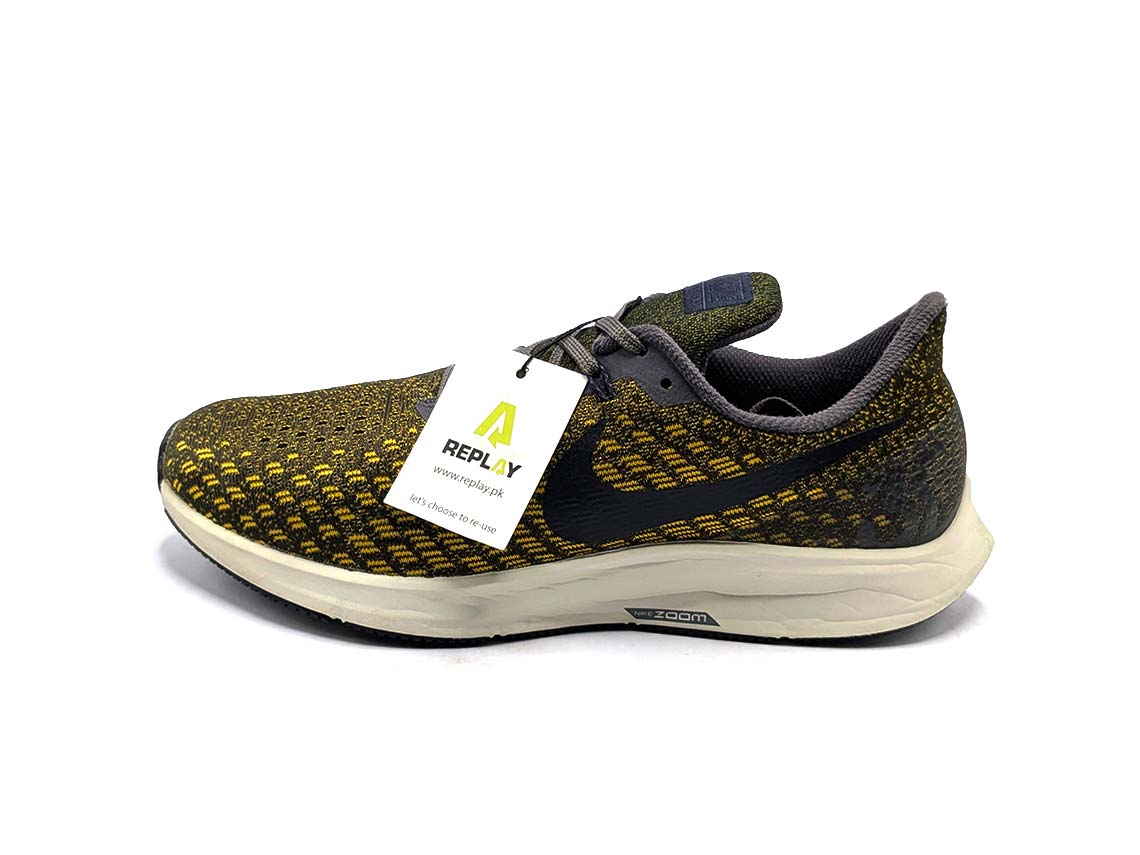 Nike Air Zoom Pegasus 35