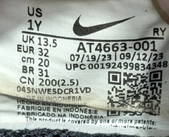 Nike Flex Runner