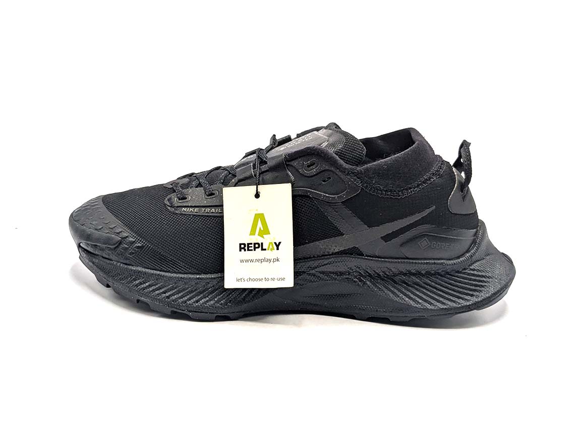 Nike Pegasus Trail 3 Gore-Tex
