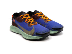 Nike Pegasus Trail 2 GTX