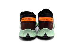 Nike Pegasus Trail 2 GTX
