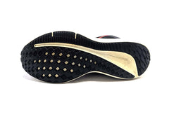 Nike Air Winflo 10