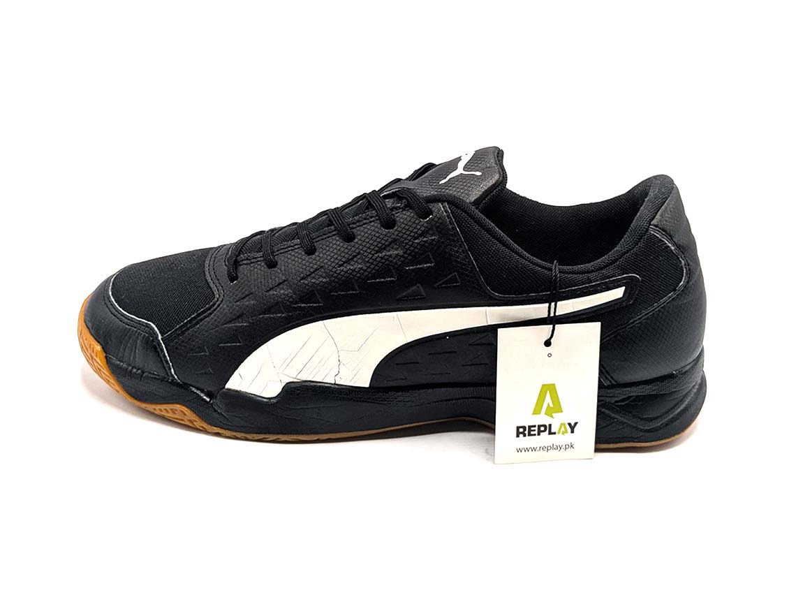 Puma Auriz