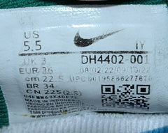Nike Dunk Low Disrupt