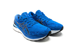 Asics Gel Kayano 29